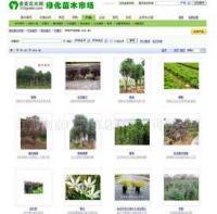 專業(yè)企業(yè)網(wǎng)頁設(shè)計與維護(hù)服務(wù) 構(gòu)建數(shù)字化形象，驅(qū)動業(yè)務(wù)增長