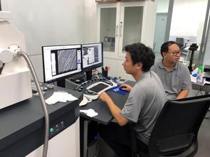 公共技術服務中心開展蔡司掃描電鏡培訓，提升技術服務水平